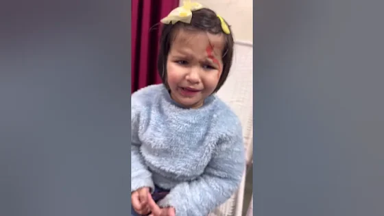 Hame fight nahi karni chahiy #story #viralvideo #viral