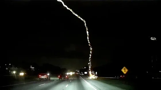 Scary Weather and Nature Fails Wild Close Call