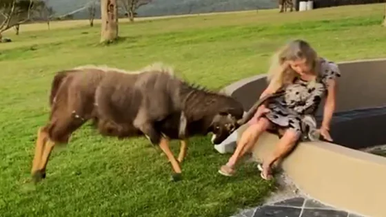 Best Fails of the Decade | Hilarious Videos