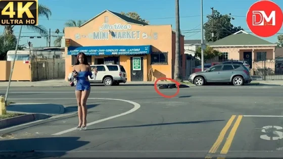 TOTAL IDIOTS AT WORK | Instant Regret Fails Compilation 2025 #434 | Best Of The Week