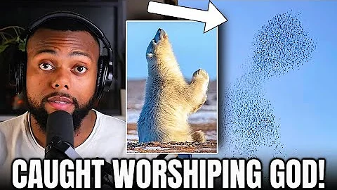 Many Believe These Animals Were WORSHIPPING GOD In Viral Video!
