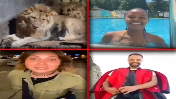 Videos Taken Right Before Disasters.. (Vol. 2)